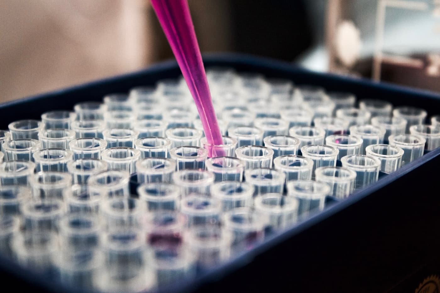 Laboratory technician pipetting flavor samples into test tubes for quality assurance testing