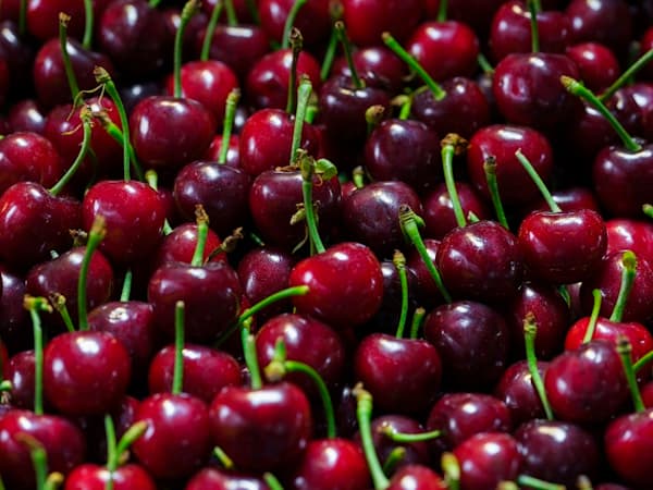 Food Industry Tips: Plan Seasonal Flavors Without Chaos